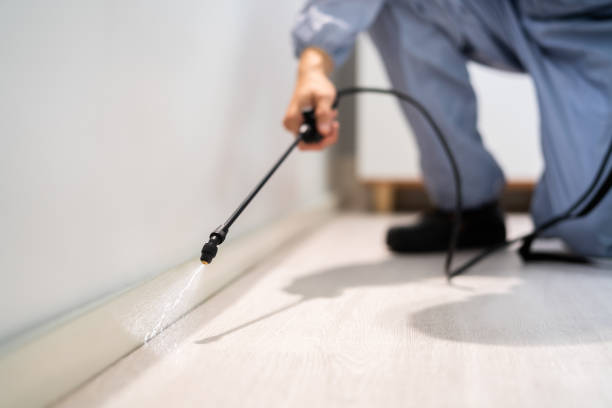Licensed Fumigation Services service in Wellston, MO - Nex Pest Control
