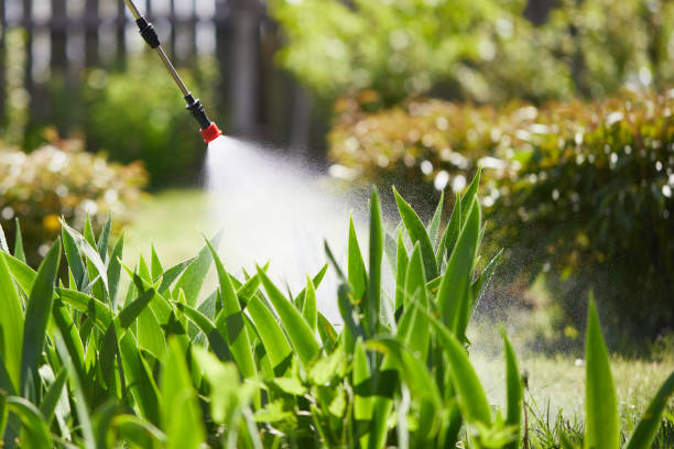 24/7 Emergency Fumigation Services experts in Wellston, MO