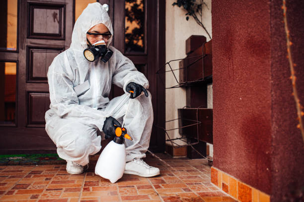 Reliable Fumigation Services contractor in Wellston, MO by Nex Pest Control