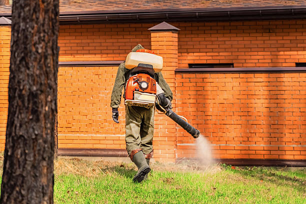 Top rated local Fumigation Services specialists in Wellston, MO